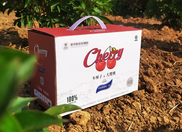 櫻桃、車?yán)遄佣Y盒